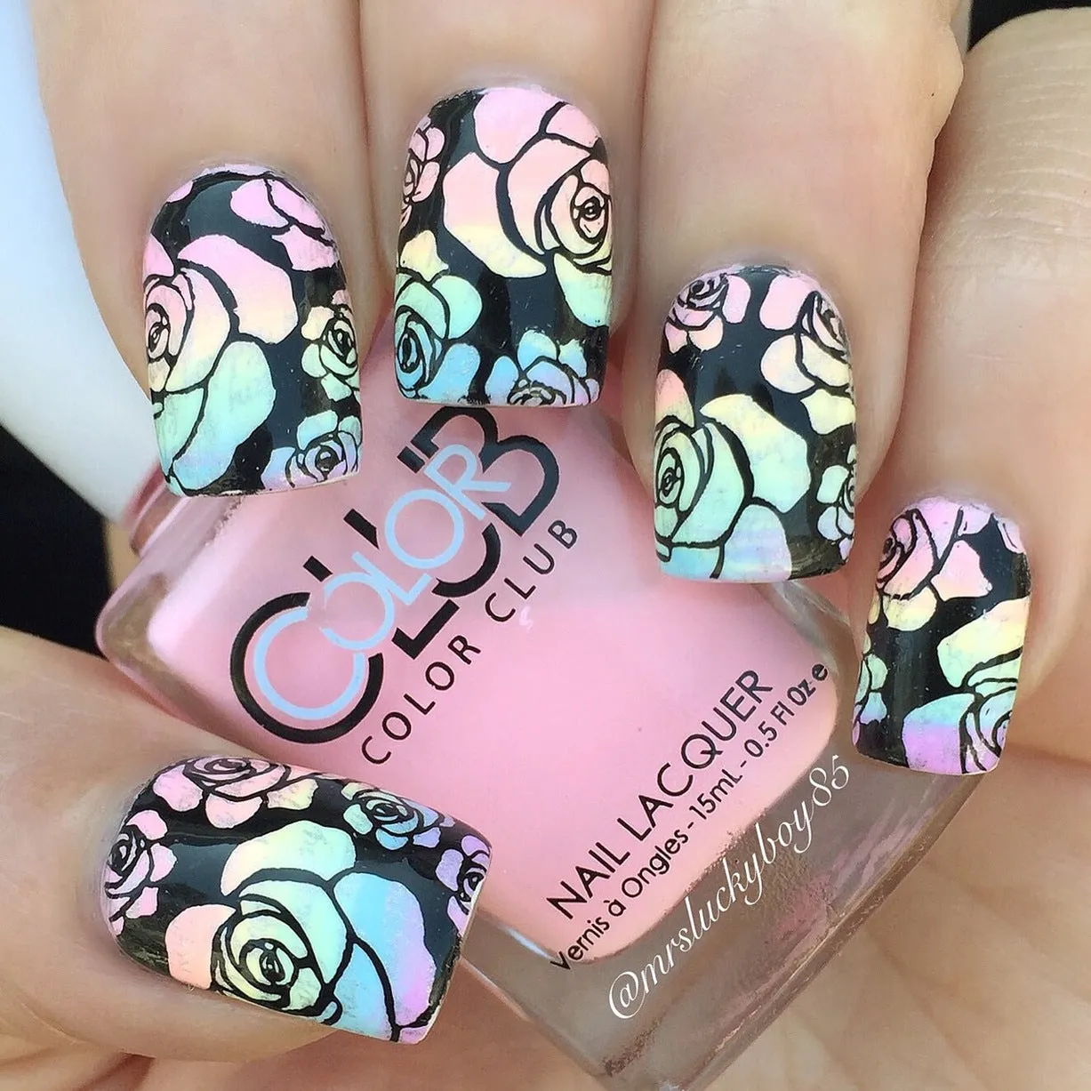 Collection 1 - Uber Chic Stamping Plates