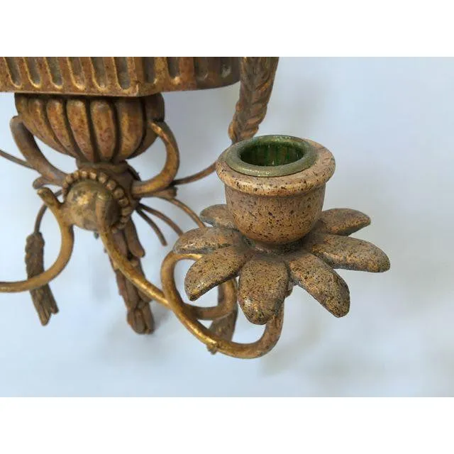 Italian Gilt Hand-Carved Wall Sconces - Pair