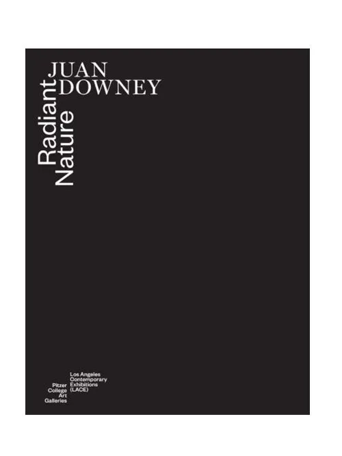 Juan Downey: Radiant Nature