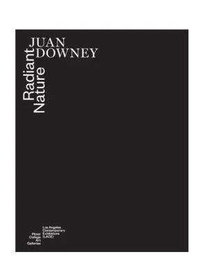 Juan Downey: Radiant Nature