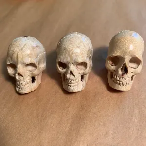 Medium Hand-Carved Wood Skulls