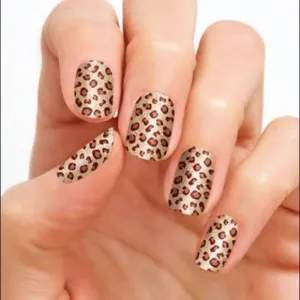 Safari Chic