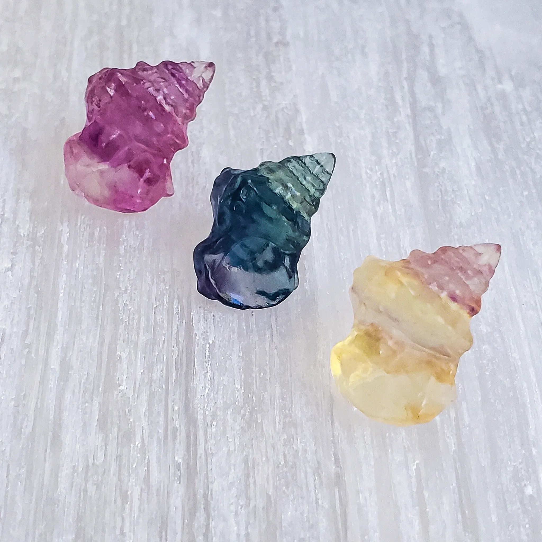 Seashell Conch - Fluorite - Mini