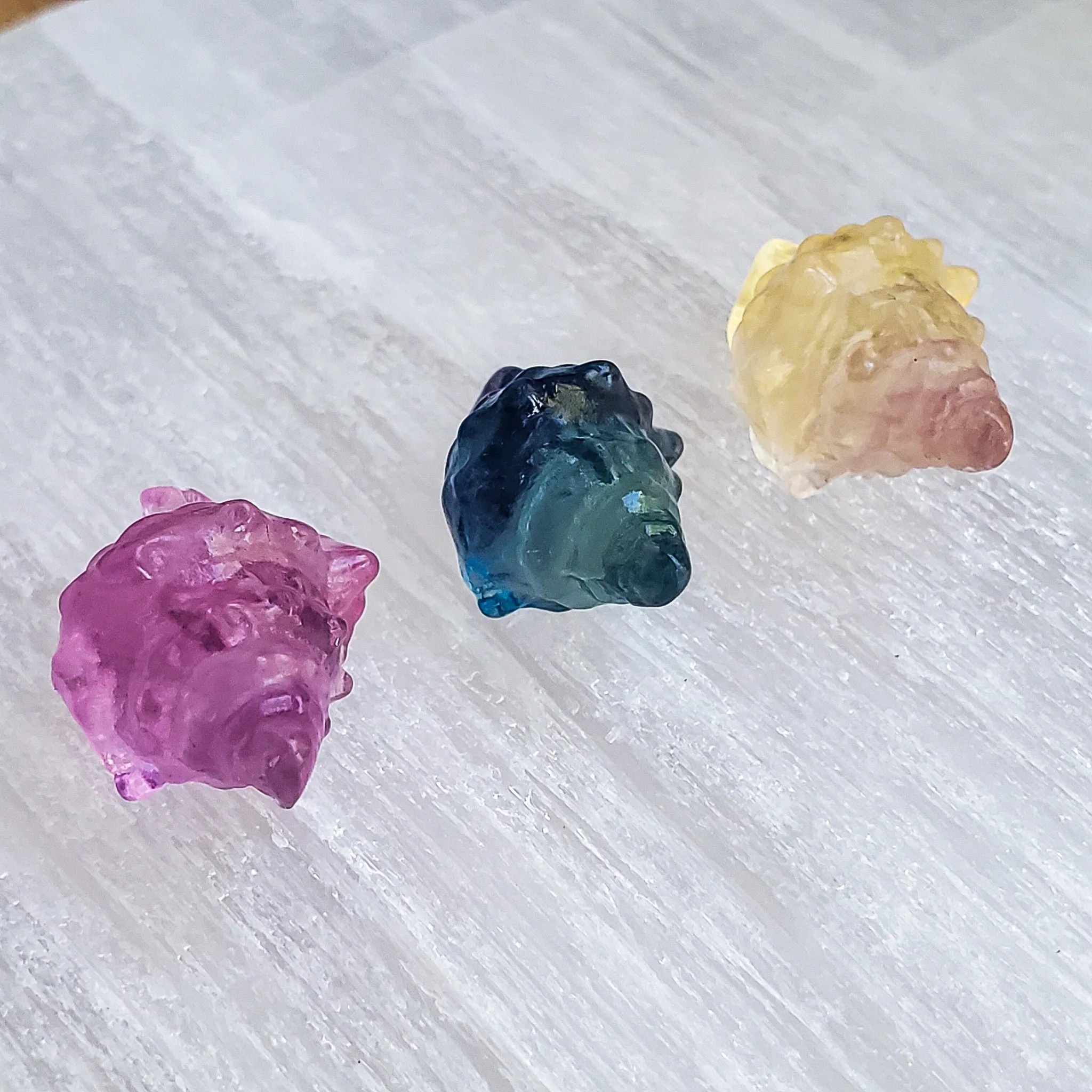 Seashell Conch - Fluorite - Mini